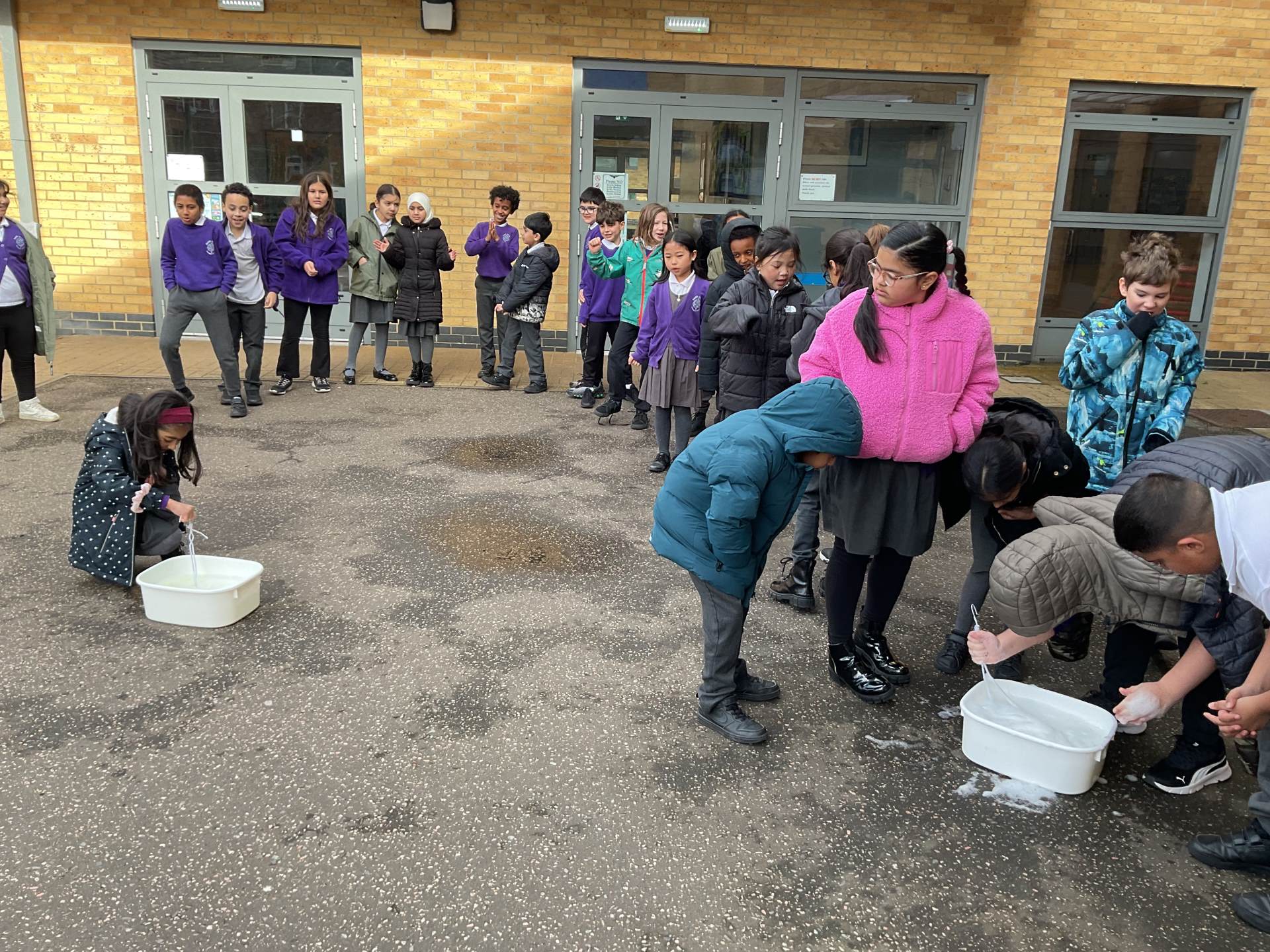 Year Four's Science Week